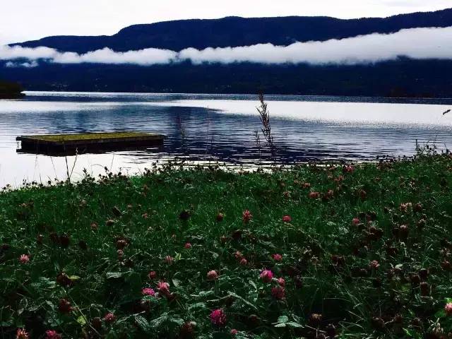 33.webp.jpg 糖心视频