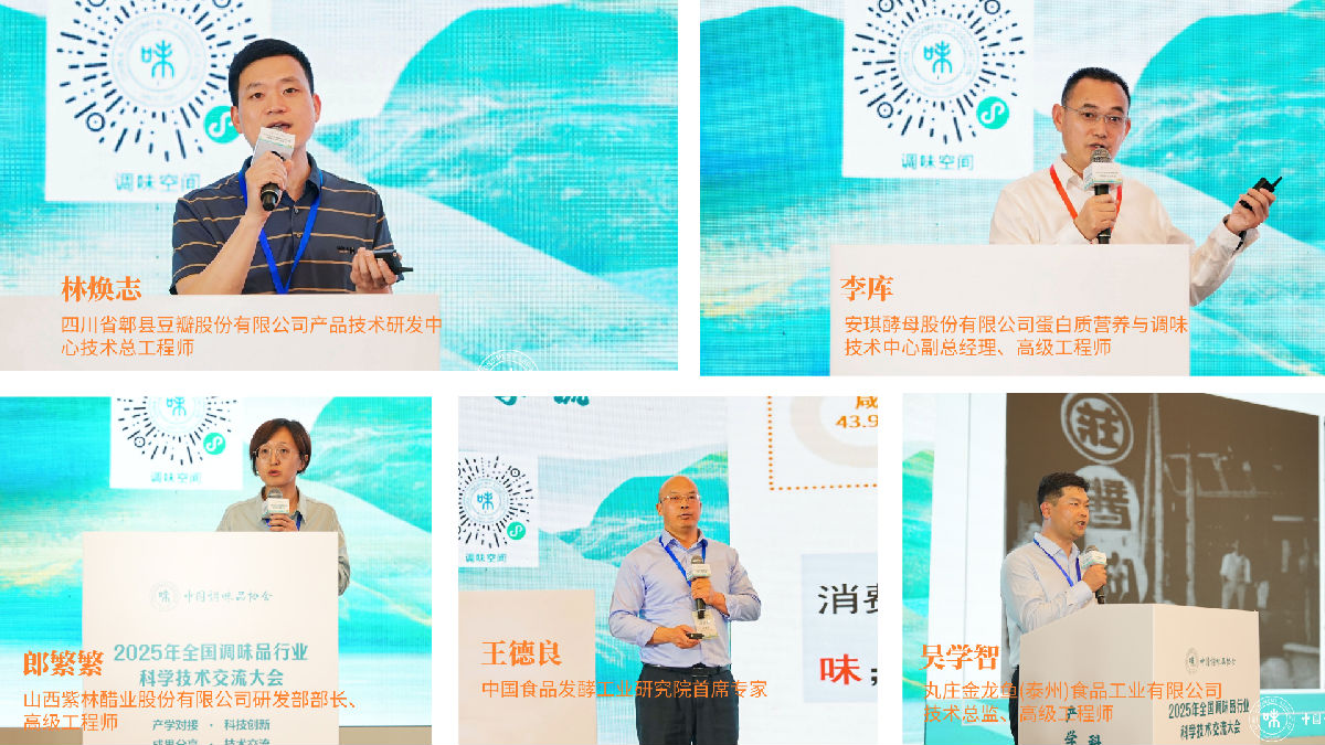 拼图2.png 糖心视频